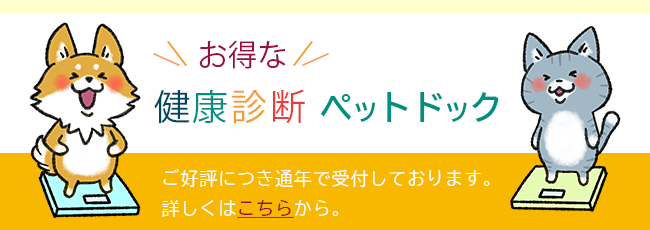 健康診断キャンペーン